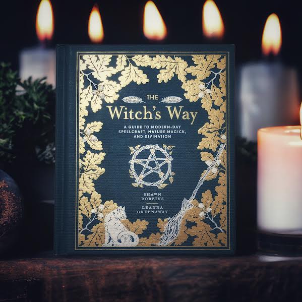 The Witch's Way book