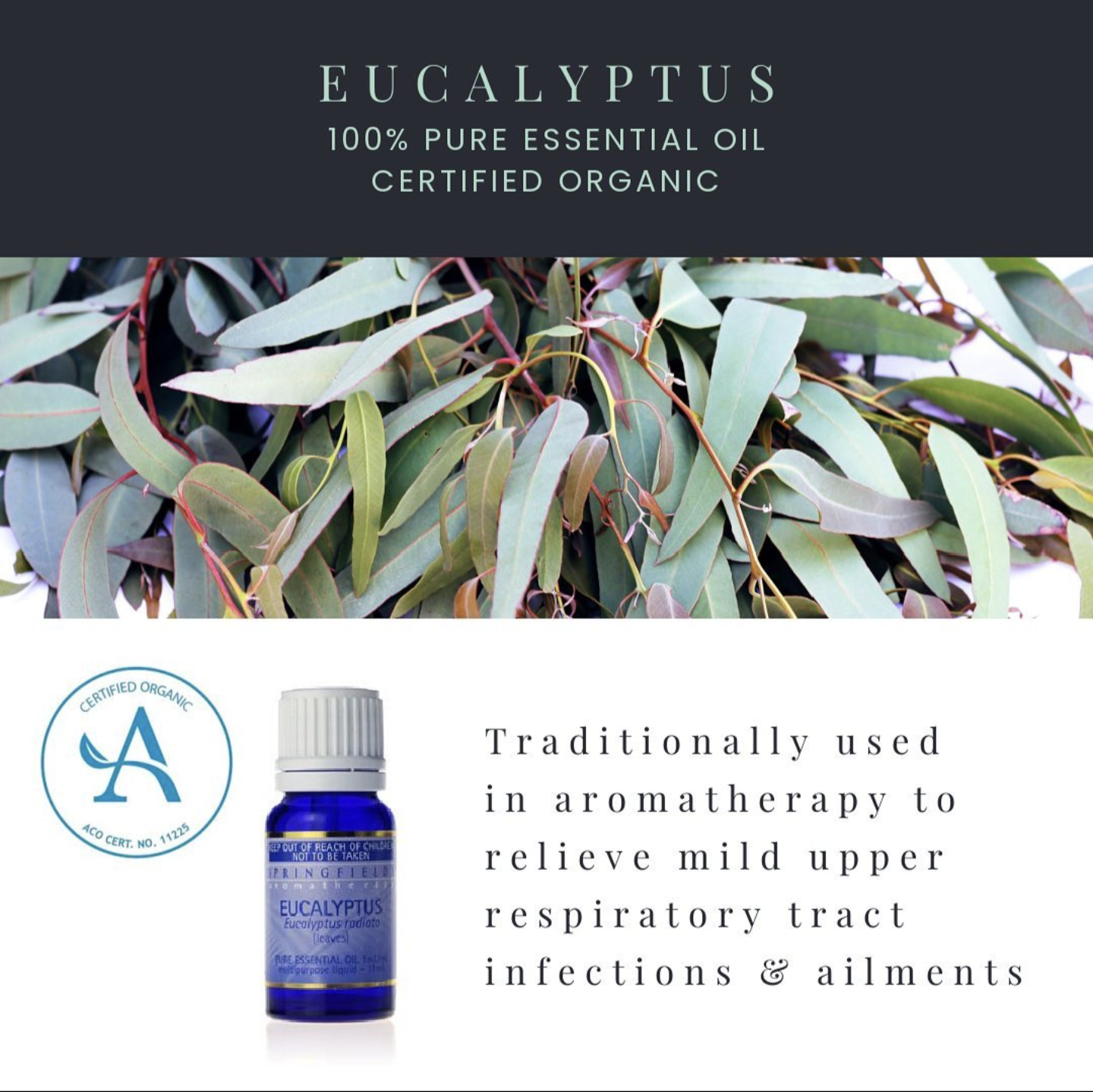 Eucalyptus Essential Oil 11ml