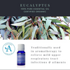 Eucalyptus Essential Oil 11ml