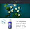 Bergamot Essential Oil 11ml