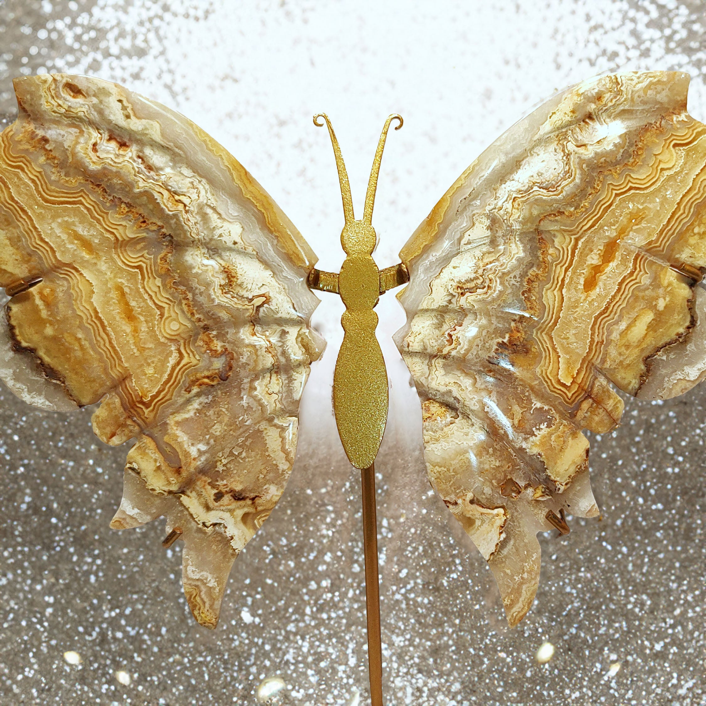 Yellow Crazy Lace Agate Wings Statement piece